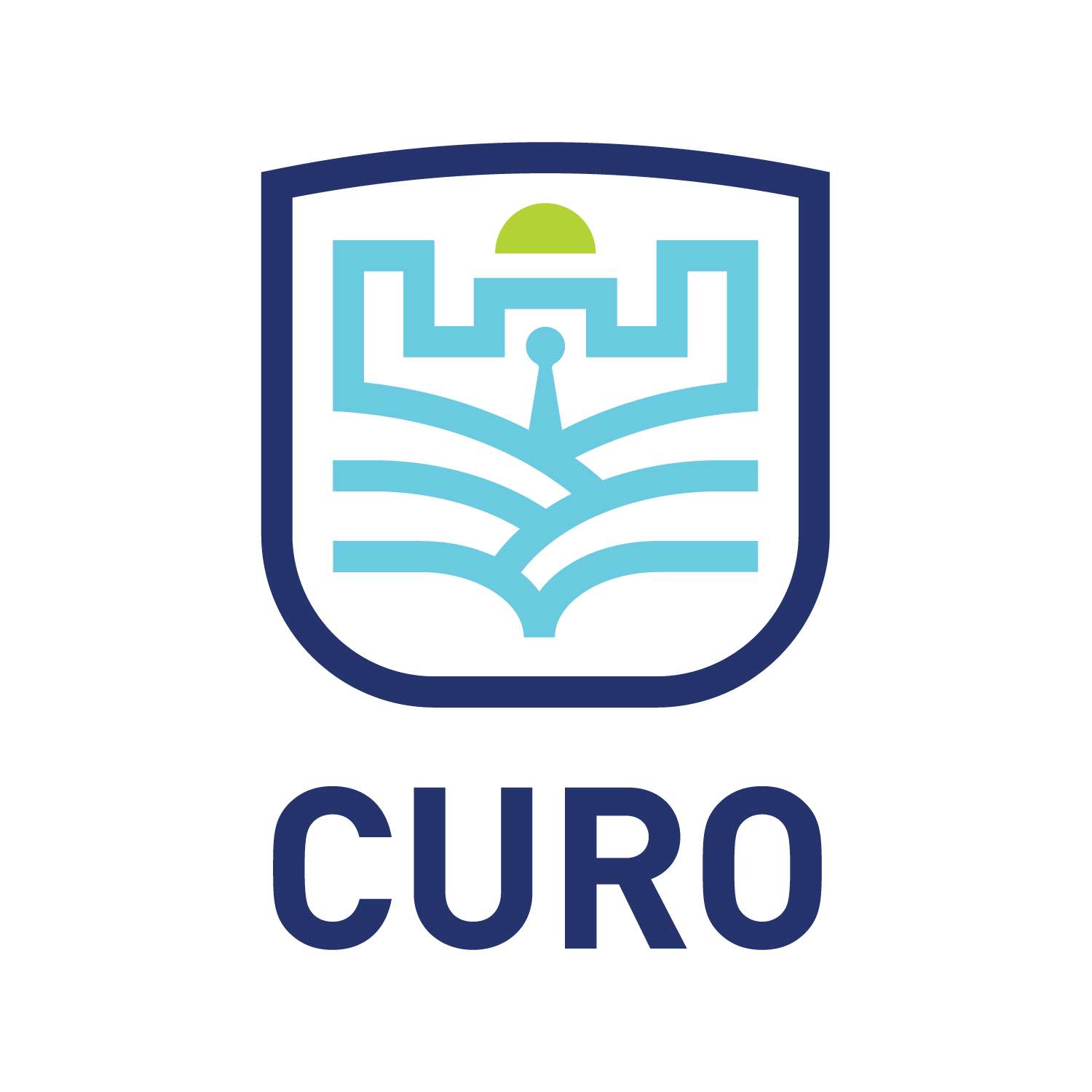 Curo Group
